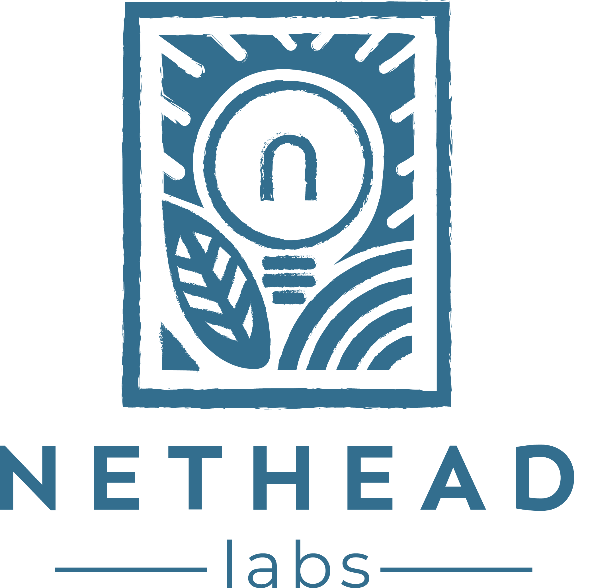 Nethead Labs